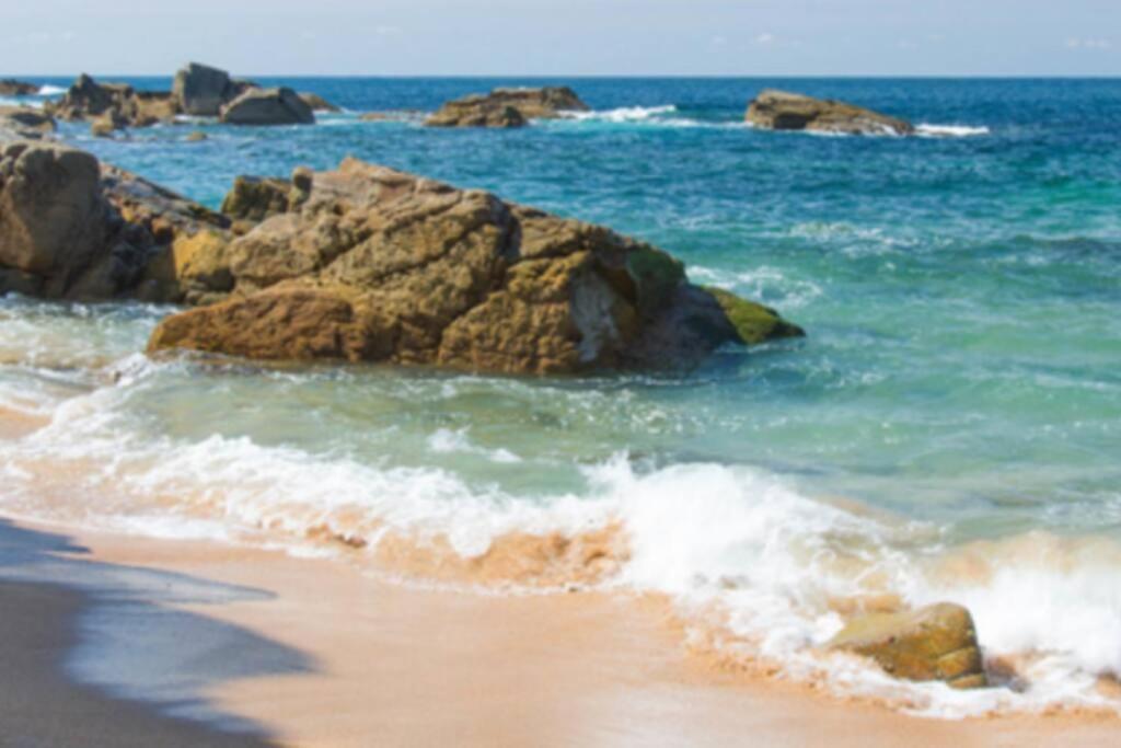 Le Petit Cote Ouest - Appt Dans Les Pins Pres De La Plage Les Sables-d'Olonne Bagian luar foto